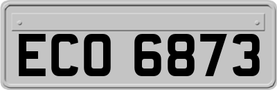 ECO6873