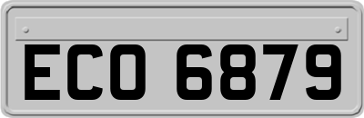 ECO6879
