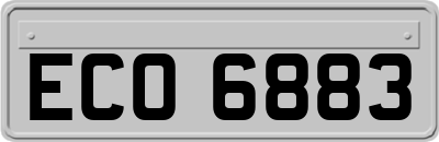 ECO6883