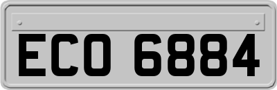 ECO6884