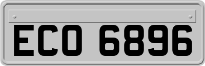 ECO6896