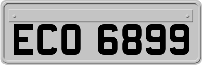 ECO6899