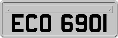 ECO6901