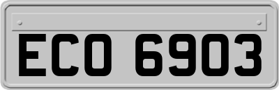 ECO6903