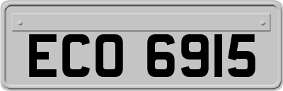 ECO6915
