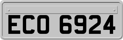 ECO6924