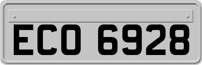 ECO6928
