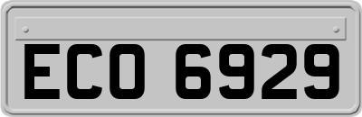 ECO6929