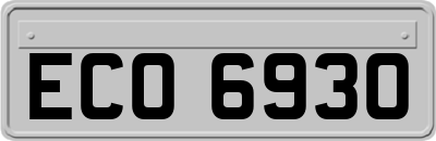 ECO6930