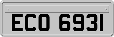 ECO6931