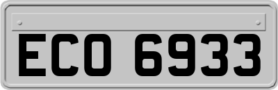 ECO6933