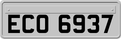 ECO6937