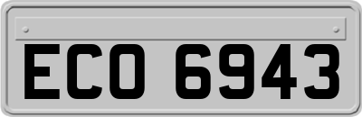 ECO6943