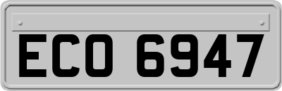 ECO6947