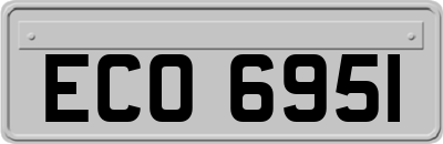 ECO6951