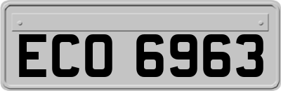 ECO6963
