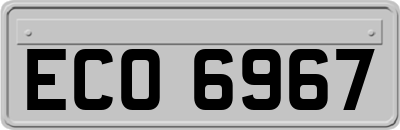 ECO6967
