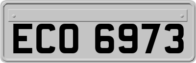 ECO6973