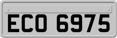 ECO6975