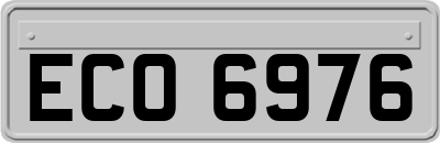 ECO6976