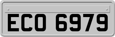 ECO6979