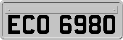 ECO6980