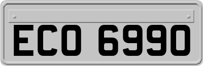 ECO6990