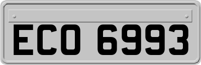 ECO6993