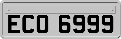 ECO6999