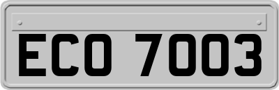 ECO7003