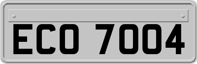 ECO7004