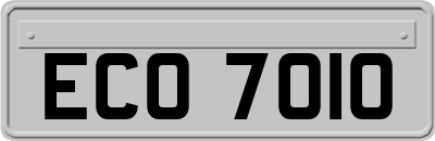 ECO7010