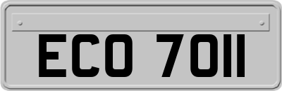 ECO7011