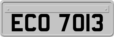 ECO7013
