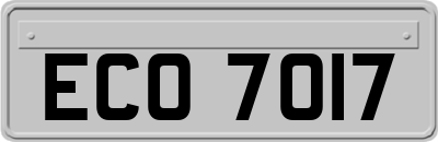 ECO7017