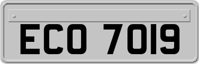 ECO7019