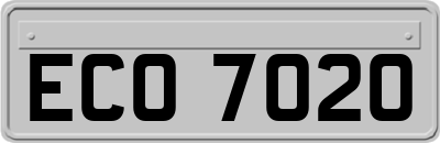 ECO7020