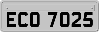 ECO7025