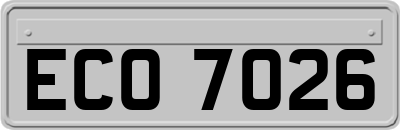 ECO7026
