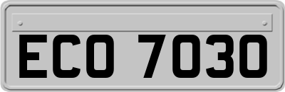 ECO7030