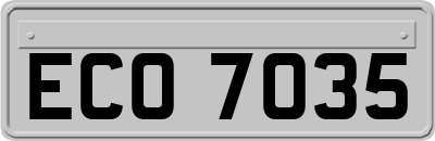 ECO7035