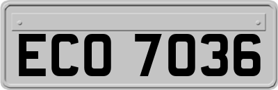 ECO7036