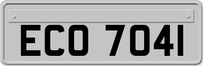 ECO7041
