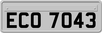 ECO7043