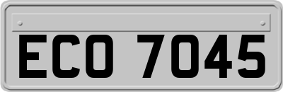 ECO7045