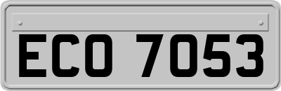 ECO7053