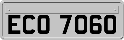 ECO7060