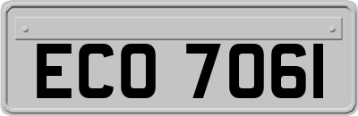 ECO7061
