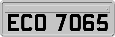 ECO7065