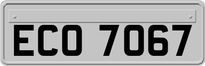 ECO7067